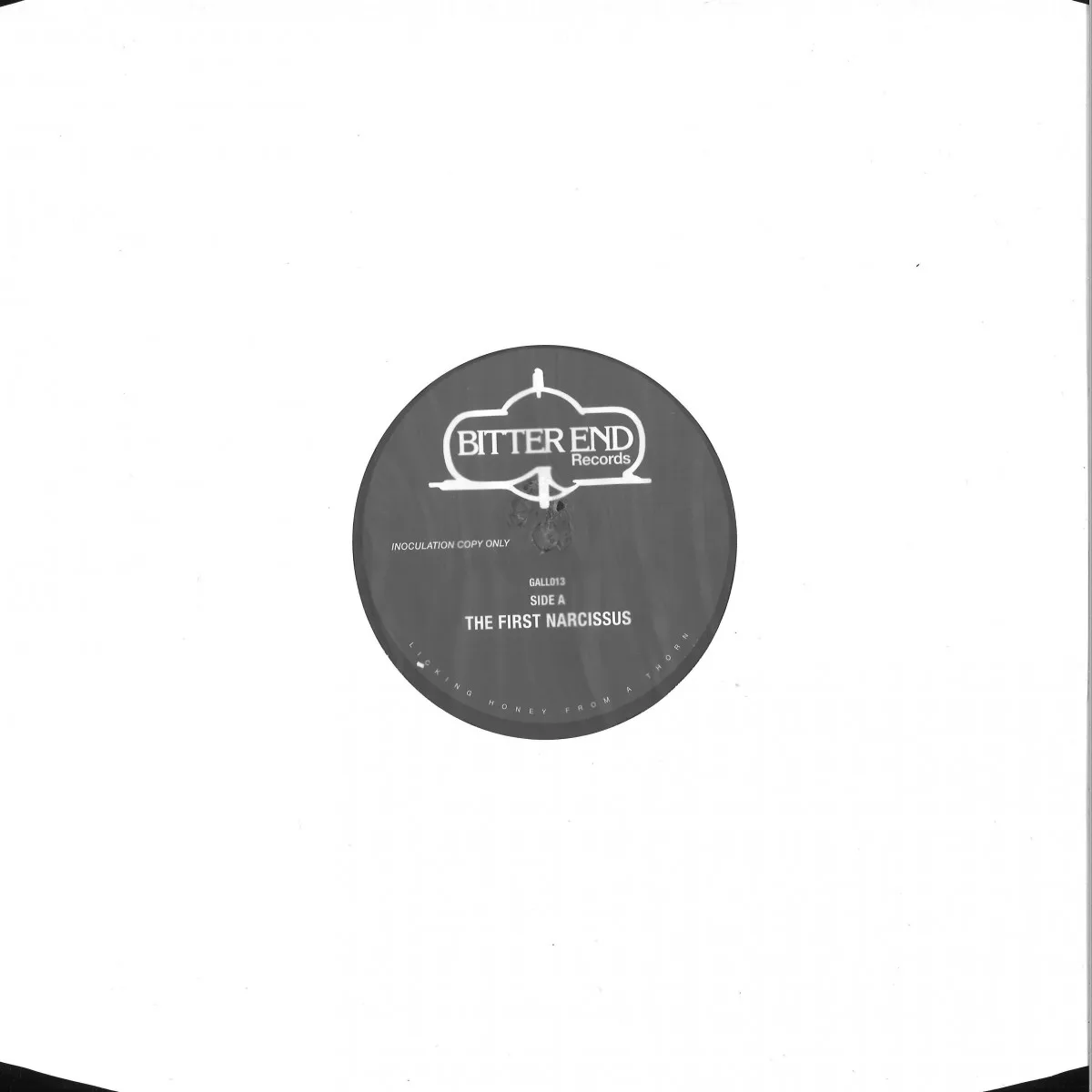 Back cover — Bitter End — THE FIRST NARCISSUS / JEALOUS GROOVE