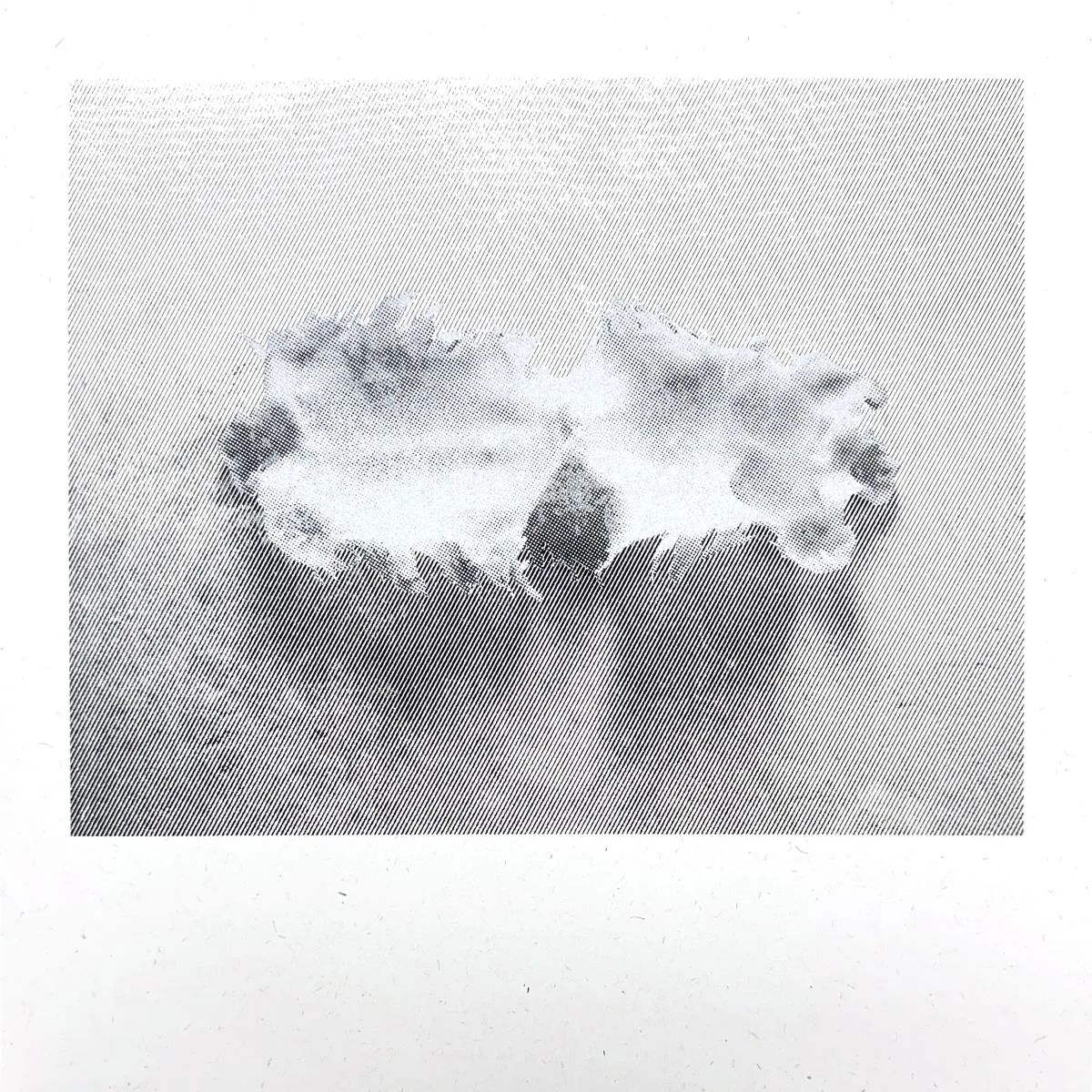 Joe Fujinoki — Glass Torso LP