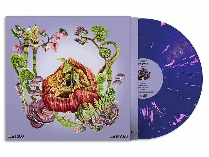 DARKO — Canvas