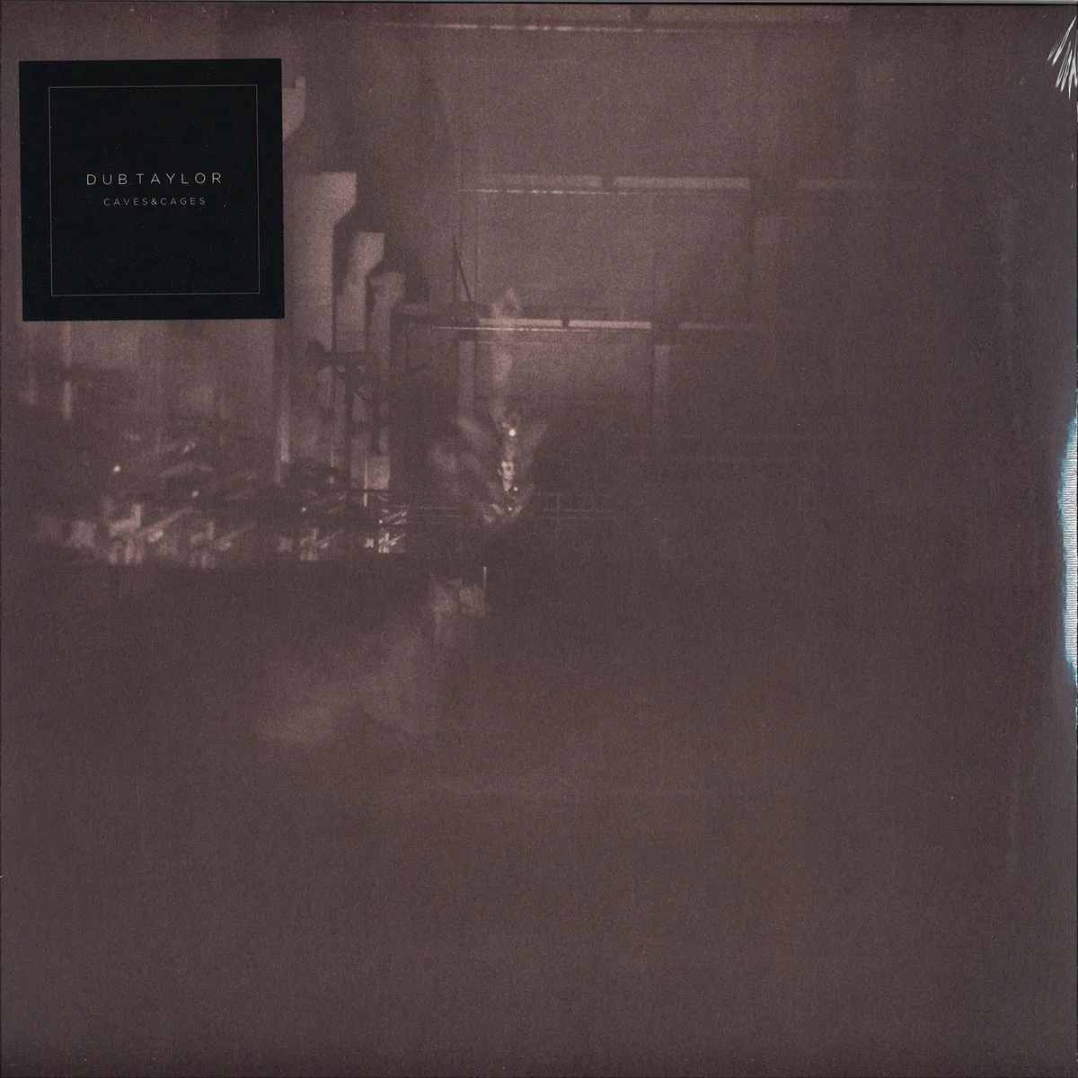 Dub Taylor — Caves & Cages