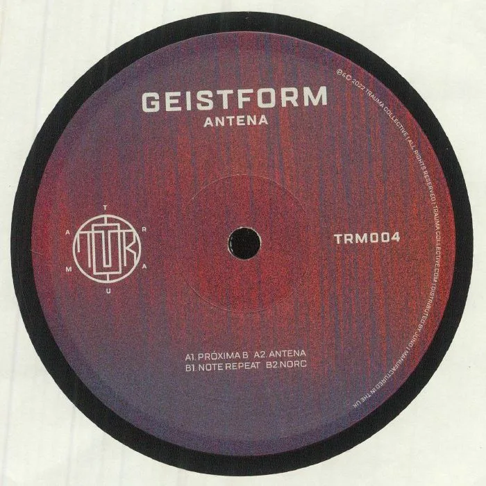 Обратная сторона обложки — GEISTFORM — Antena