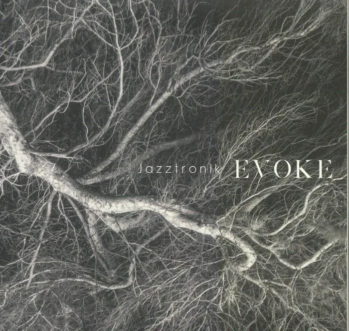 Лицевая сторона обложки — JAZZTRONIK — Evoke