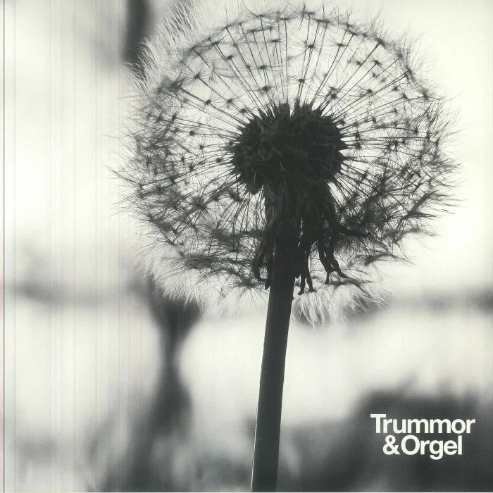 TRUMMOR & ORGEL — Graceful Degradatio / New Beginning