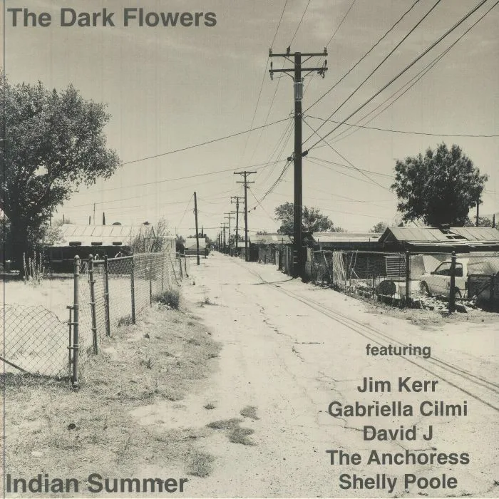 The DARK FLOWERS — Indian Summer (B-STOCK)