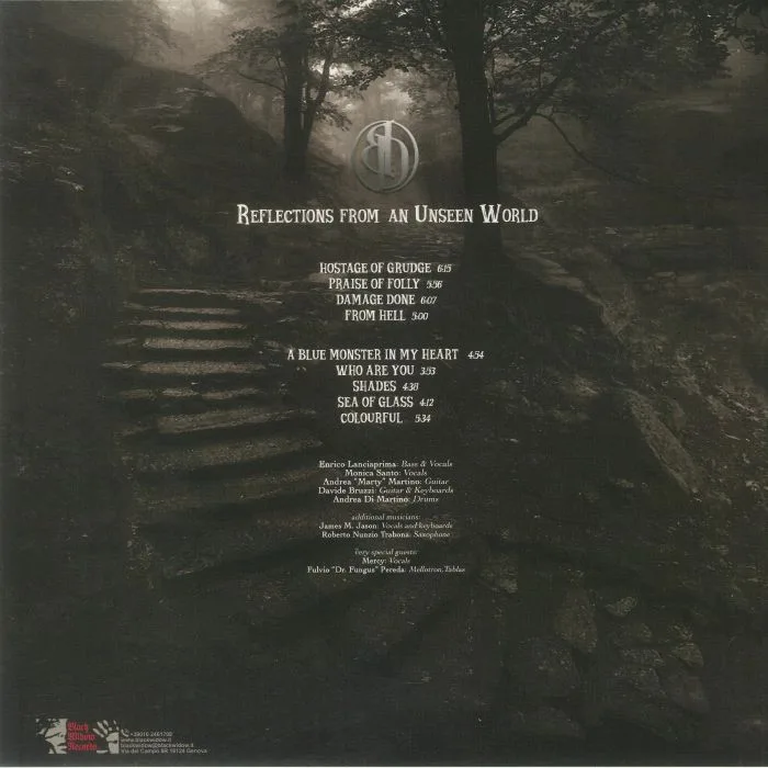 Back cover — BLUE DAWN — Reflections From An Unseen World