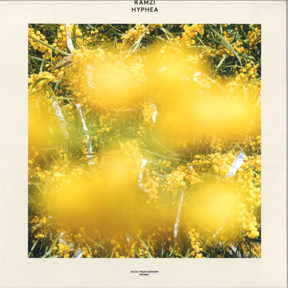 Ramzi — HYPHEA LP