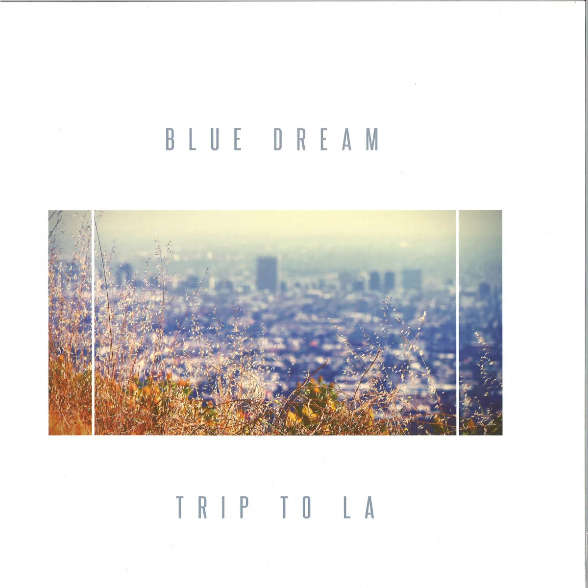 Blue Dream — TRIP TO LA