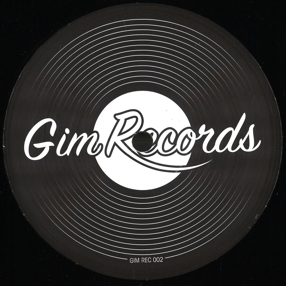 Groove In Mind aka GIM Productions — In The Music