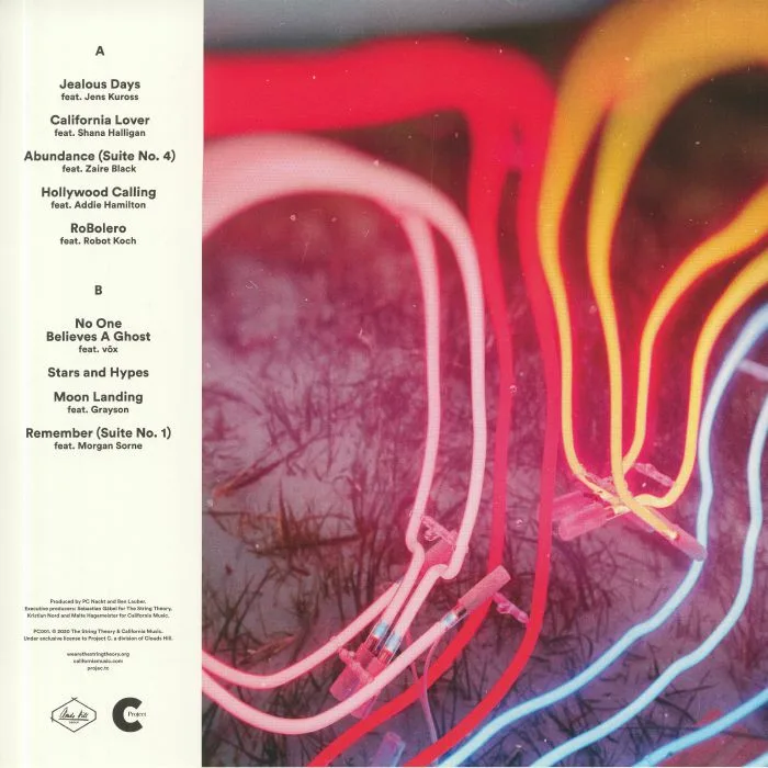 Back cover — The STRING THEORY — The Los Angeles Suite