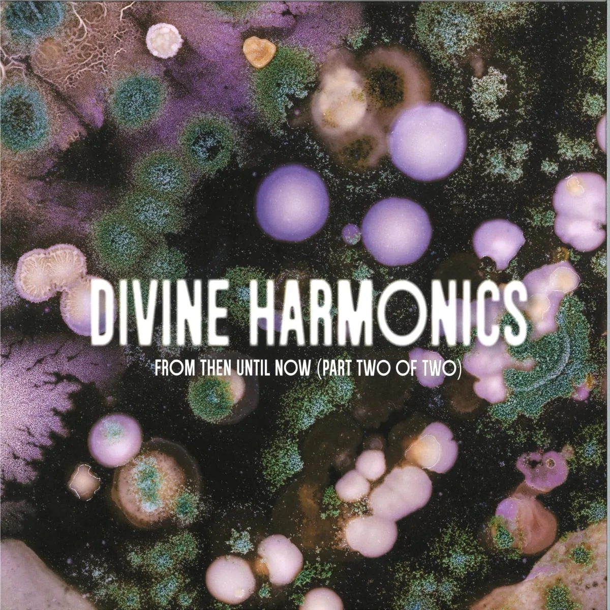 Лицевая сторона обложки — Kuniyuki Takahashi & Joaquin Joe Claussell — Divine Harmonics PT4. Disc 2 of 2