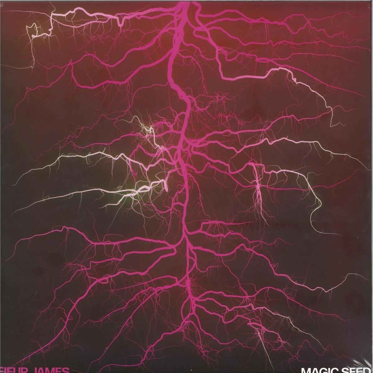 Leifur James — MAGIC SEEDS LP