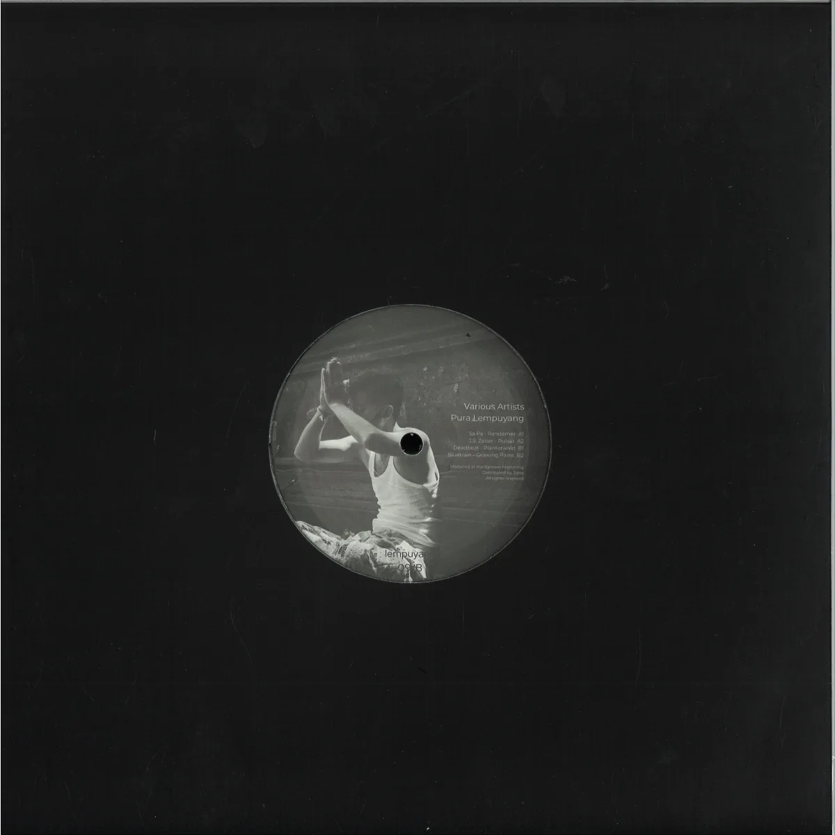Back cover — Various — Pura Lempuyang 2x12"
