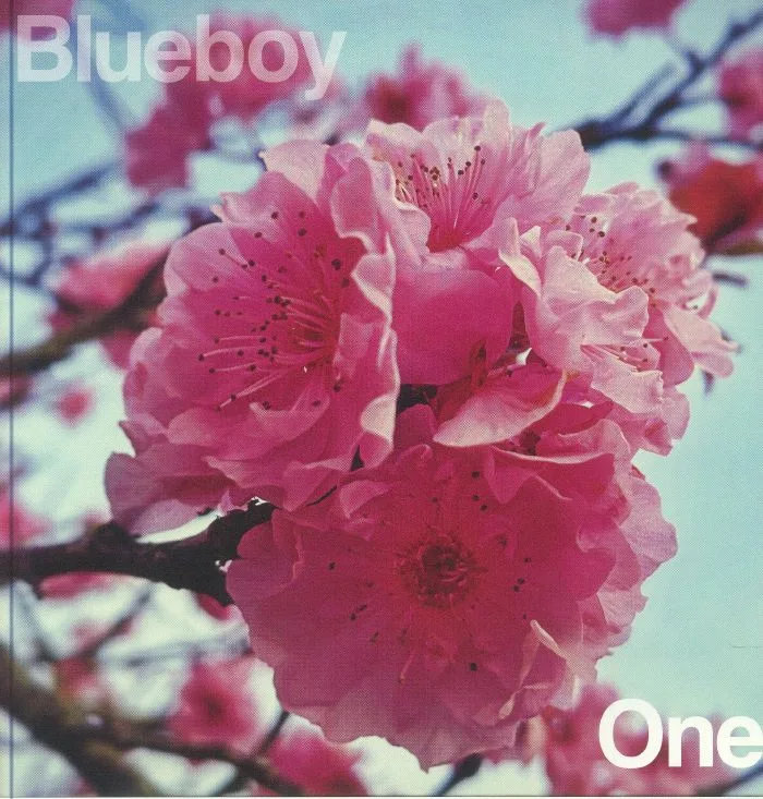 BLUEBOY — One