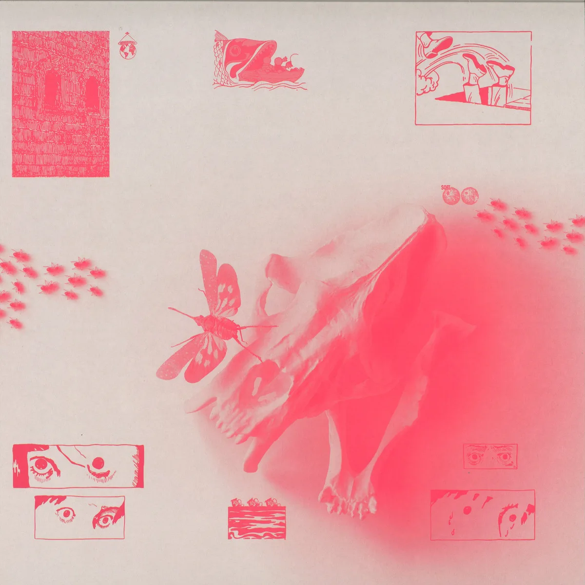 Lixo — Cicada