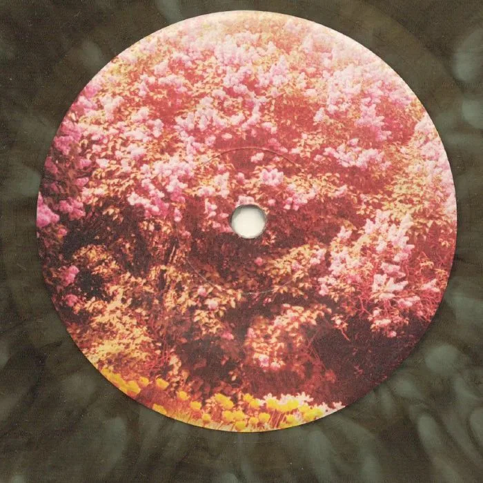 YEASAYER — Fragrant World