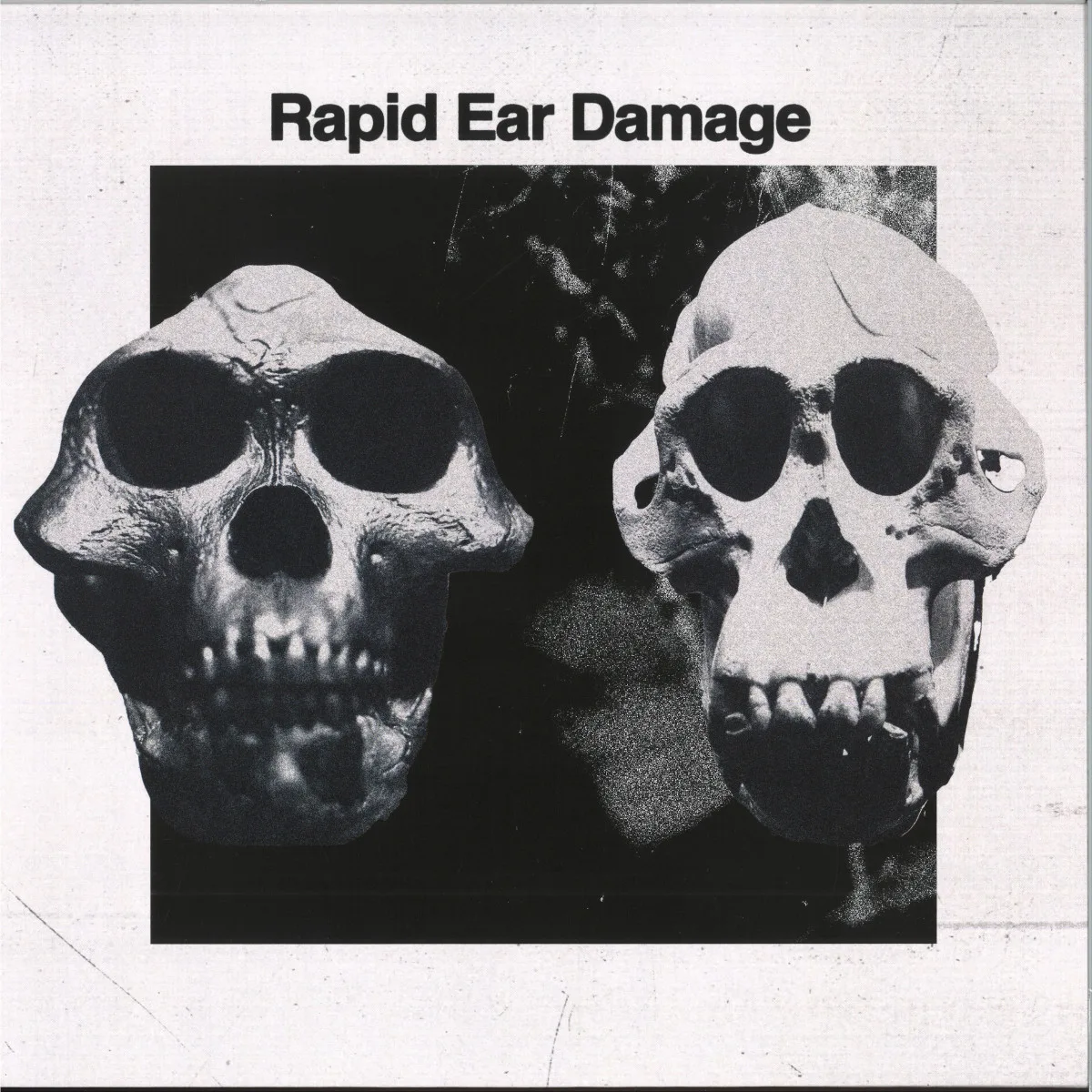 Rapid Ear Damage — R.E.D. LP