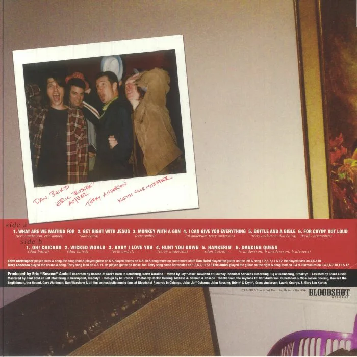 Обратная сторона обложки — The YAYHOOS — Fear Not The Obvious (reissue)
