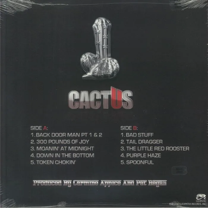 Back cover — CACTUS — Temple Of Blues II: All Stars