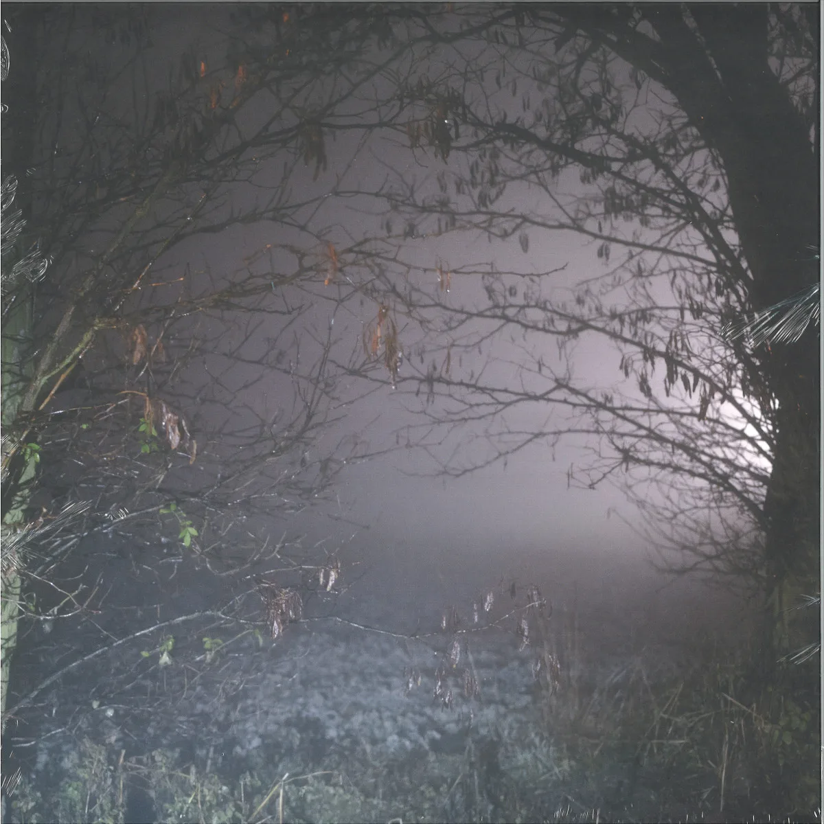 Earth Trax — Closer Now LP
