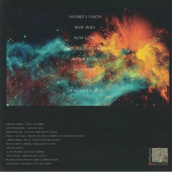 Обратная сторона обложки — COSMIC VIBRATIONS / DWIGHT TRIBLE — Pathways & Passages