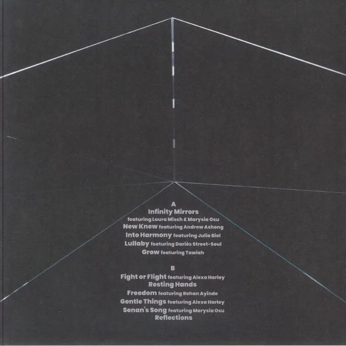 Back cover — Hector PLIMMER — Infinity Mirrors