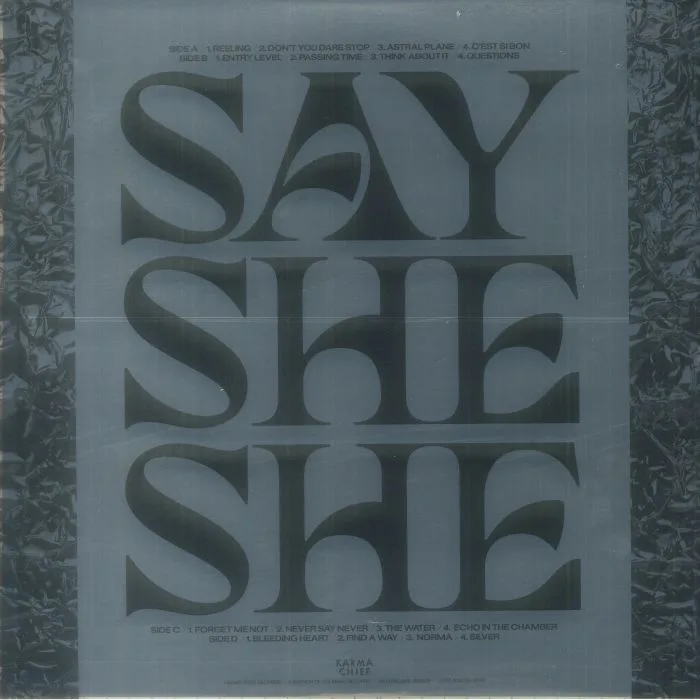 Обратная сторона обложки — SAY SHE SHE — Silver
