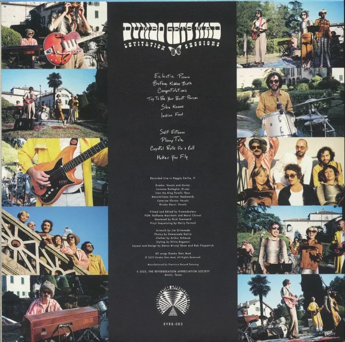 Back cover — DUMBO GETS MAD — Levitation Sessions