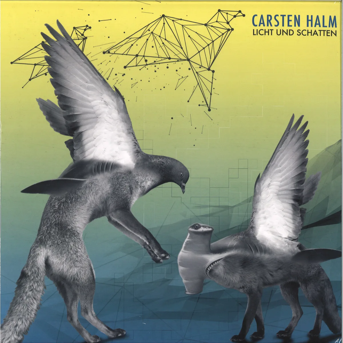 Carsten Halm — Licht Und Schatten
