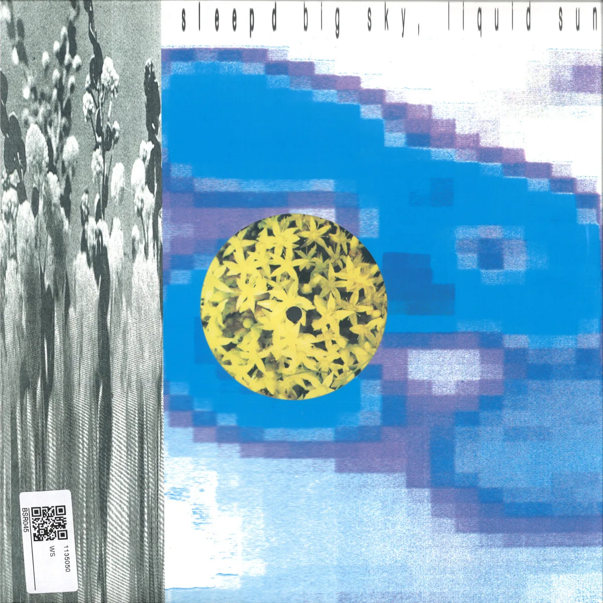 Sleep D — Big Sky, Liquid Sun