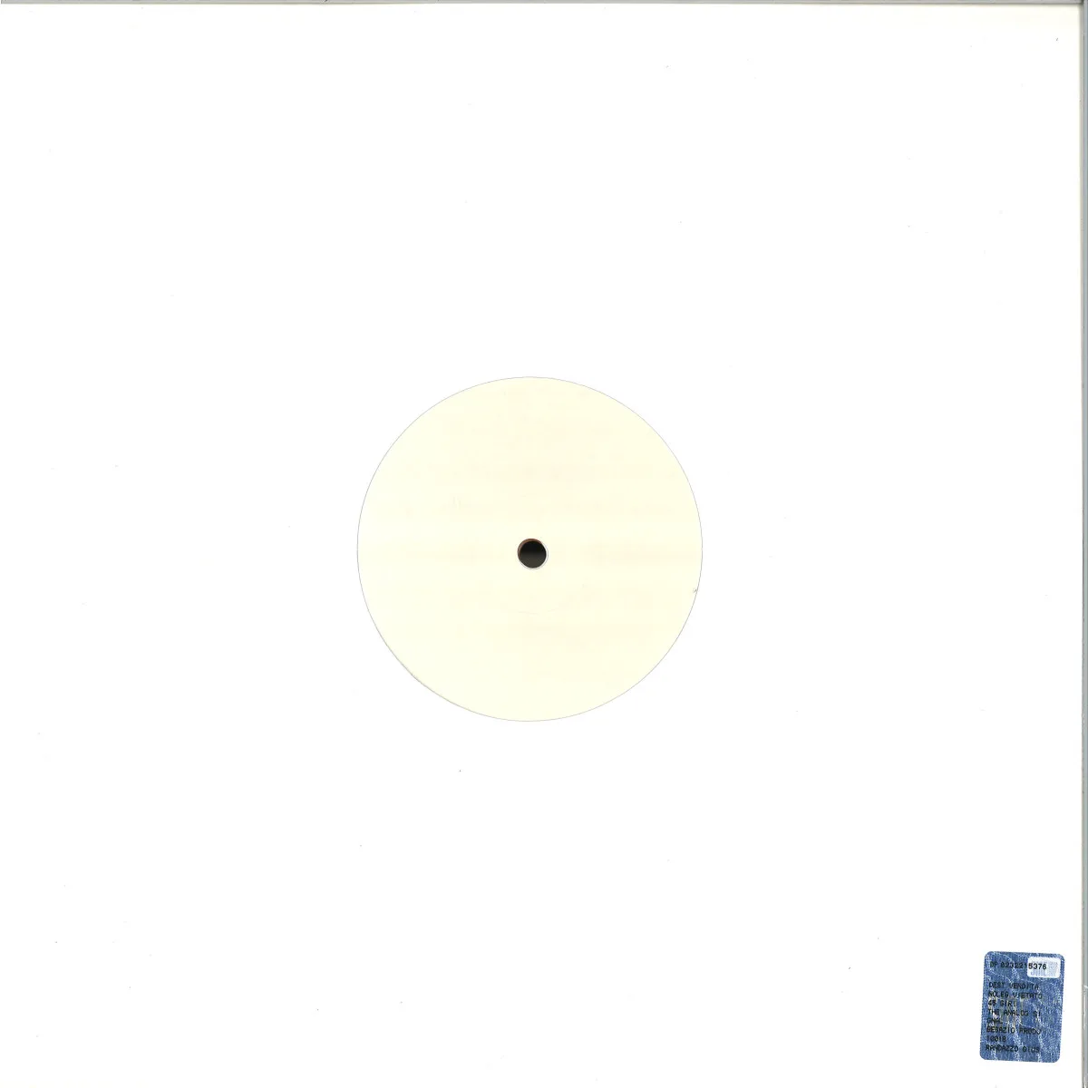 Back cover — Pino R. — The Analog Signal