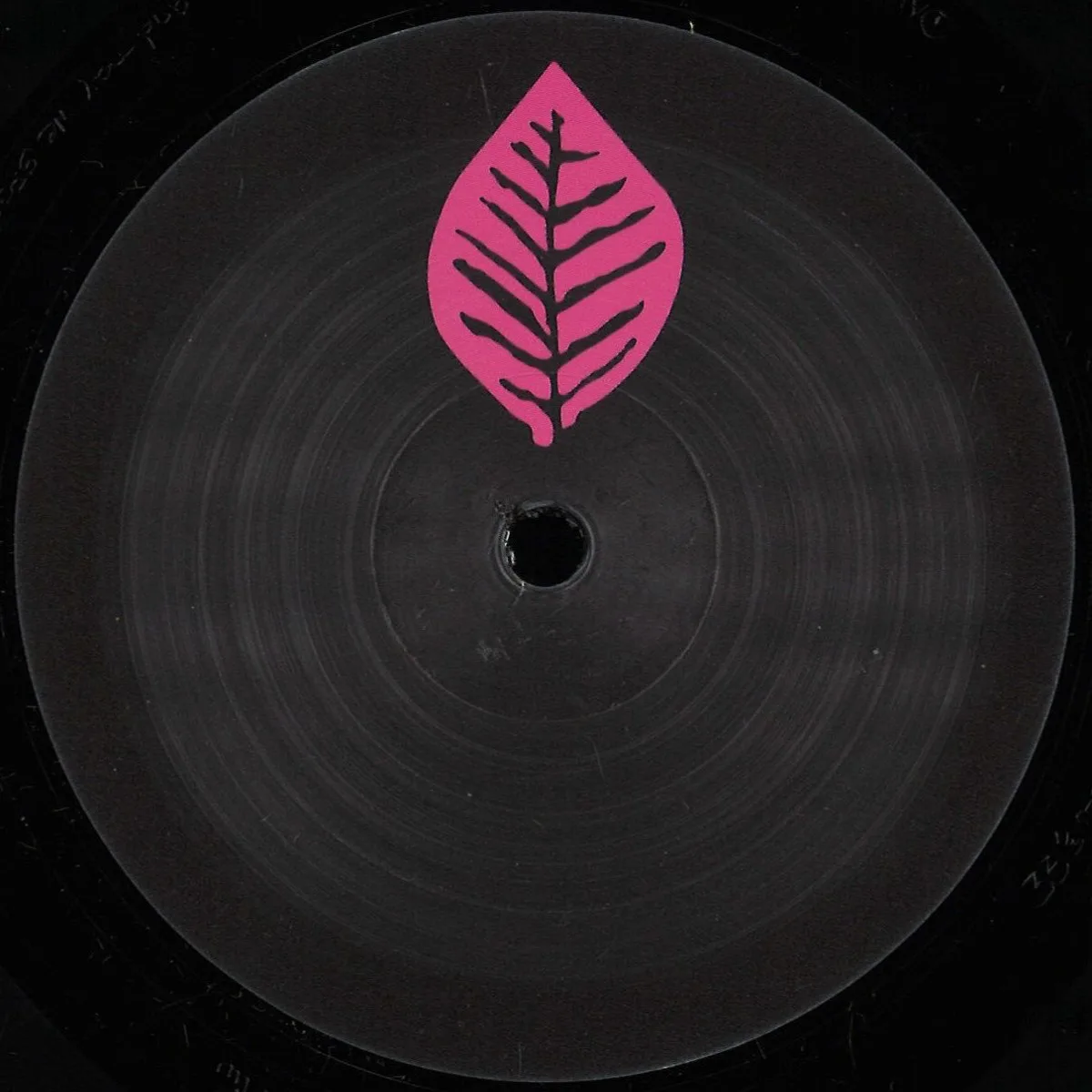 Pakkadej — Only Freak