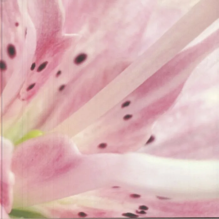 Taiga Tokunaga — Fleur LP