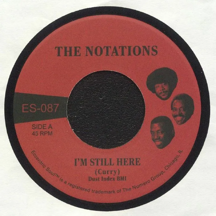 The NOTATIONS — I'm Still Here