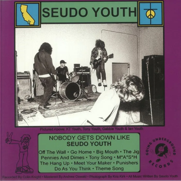 Обратная сторона обложки — SEUDO YOUTH — Nobody Gets Down Like Seudo Youth
