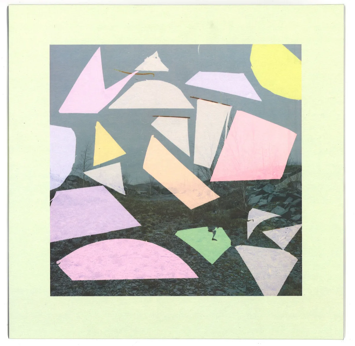 Leif — Montpelier / Rumex