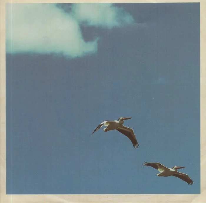 Sim NAGAI — Palm Dreams