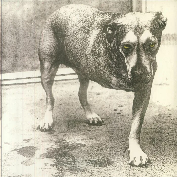 ALICE IN CHAINS — Alice In Chains (30th Anniversary Edition)