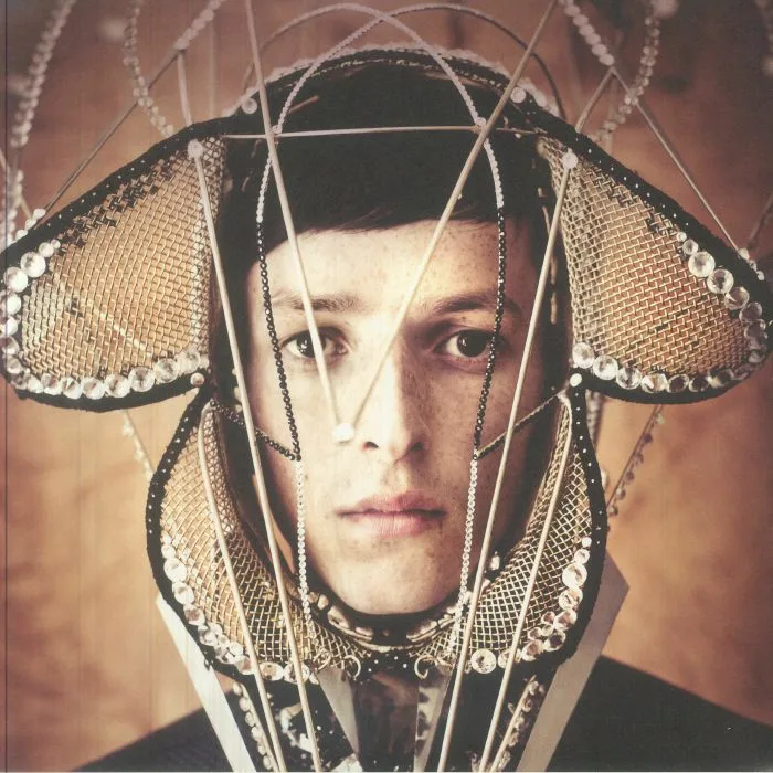 Лицевая сторона обложки — TOTALLY ENORMOUS EXTINCT DINOSAURS — Trouble