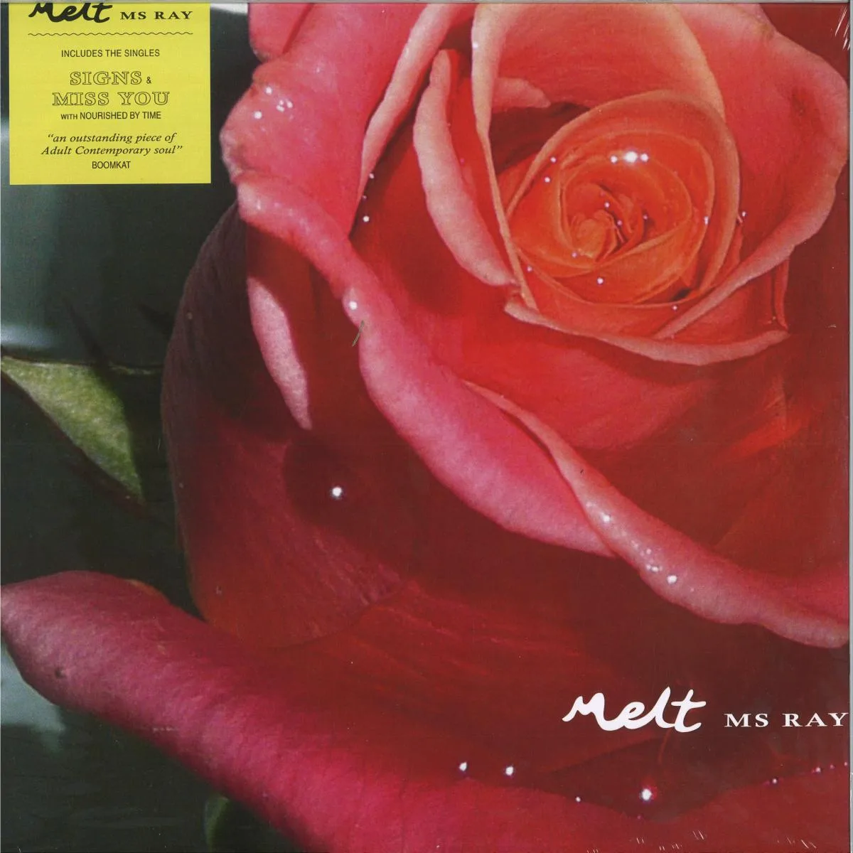 Ms Ray — Melt