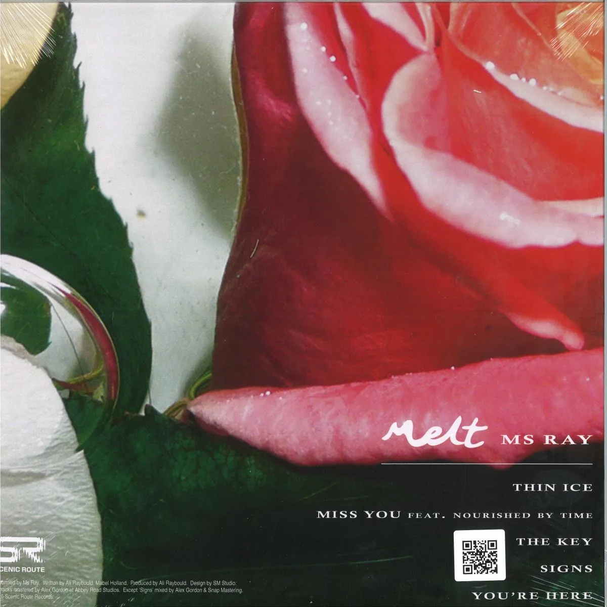 Back cover — Ms Ray — Melt