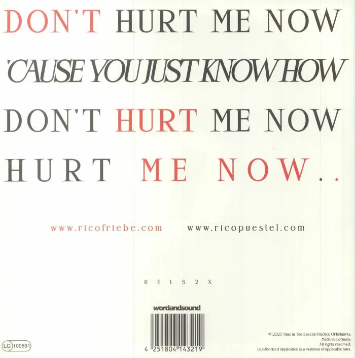 Back cover — Rico FRIEBE — Don't Hurt Me Now (Rico Puestel's Don't Dub Me Now remix)