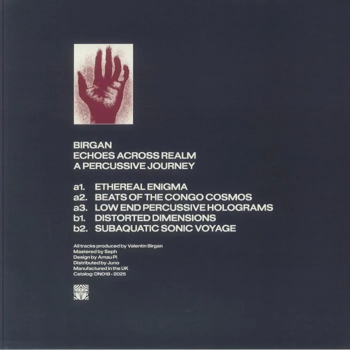 Обратная сторона обложки — BIRGAN — Echoes Across Realm A Percussive Journey EP