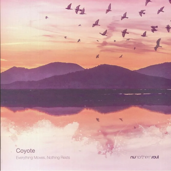 COYOTE — Everything Moves Nothing Rests