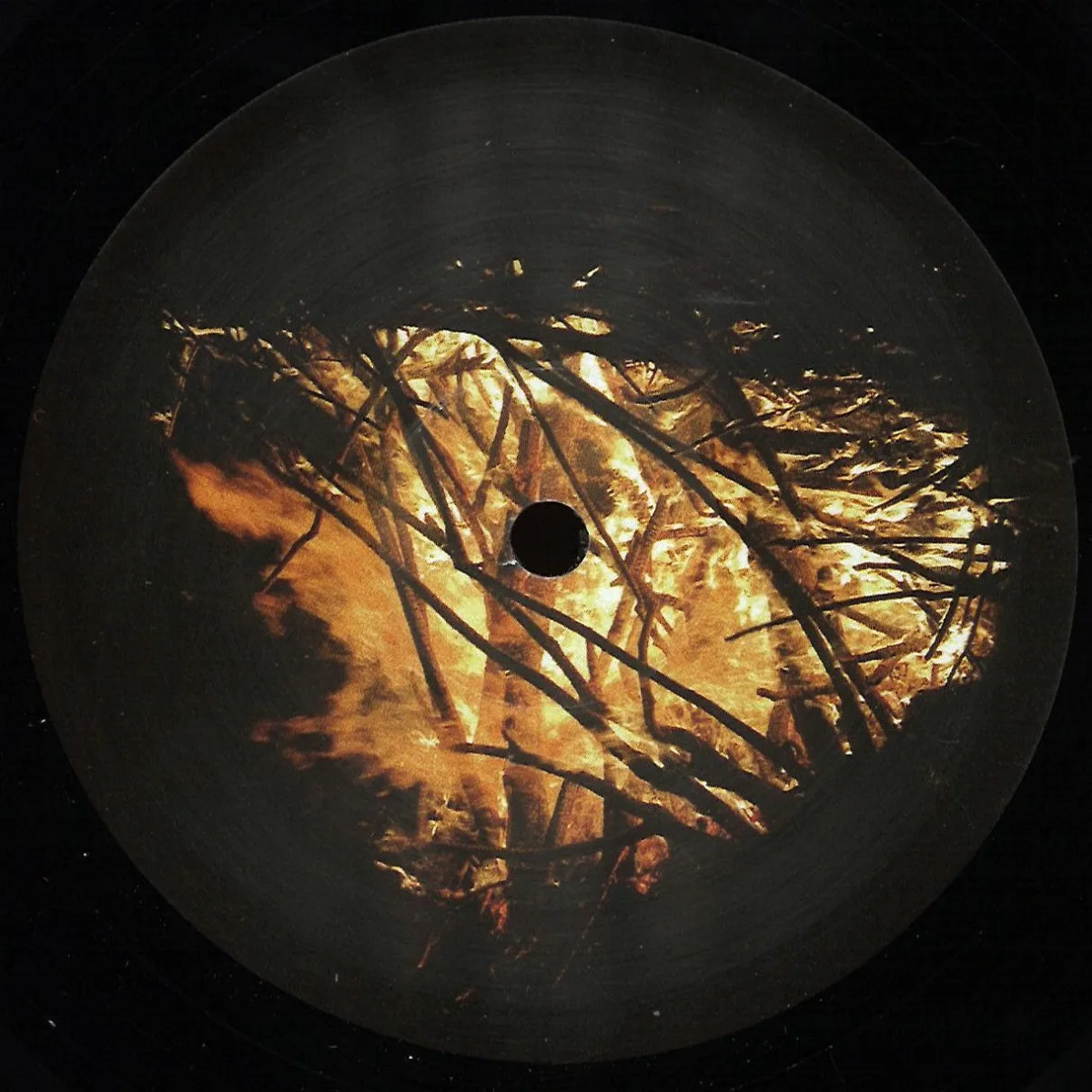 Miraclis — Trapped