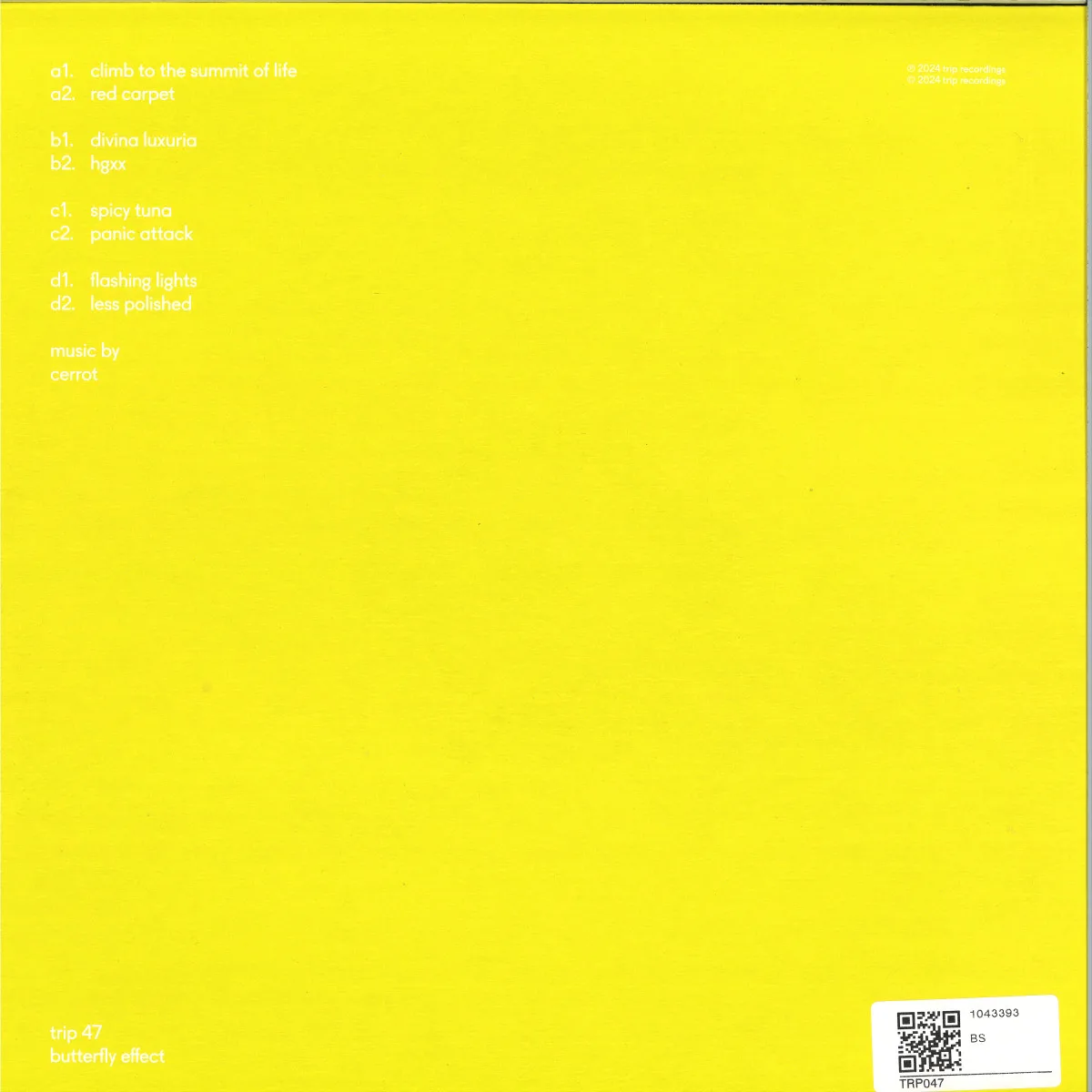 Back cover — Cerrot — butterfly effect 2x12"