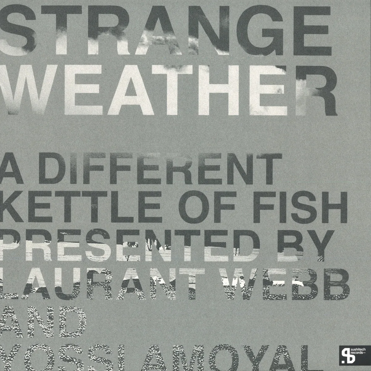 Обратная сторона обложки — Laurant Webb & Yossi Amoyal — Strange Weather : A Different Kettle Of Fish