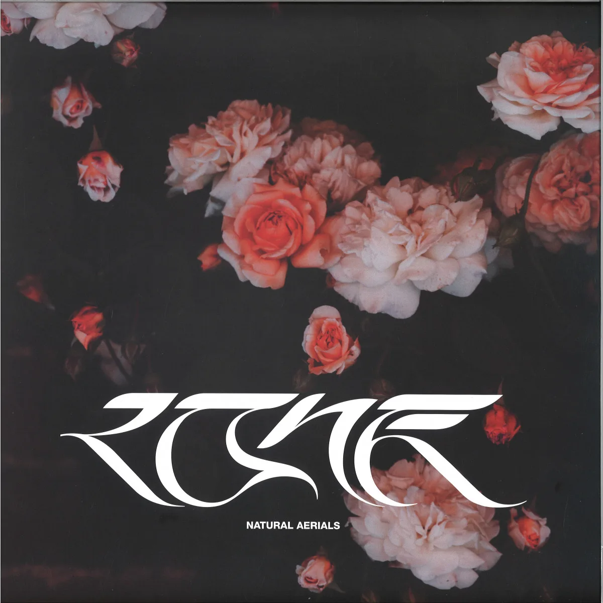 Back cover — Lone — Natural Aerials EP