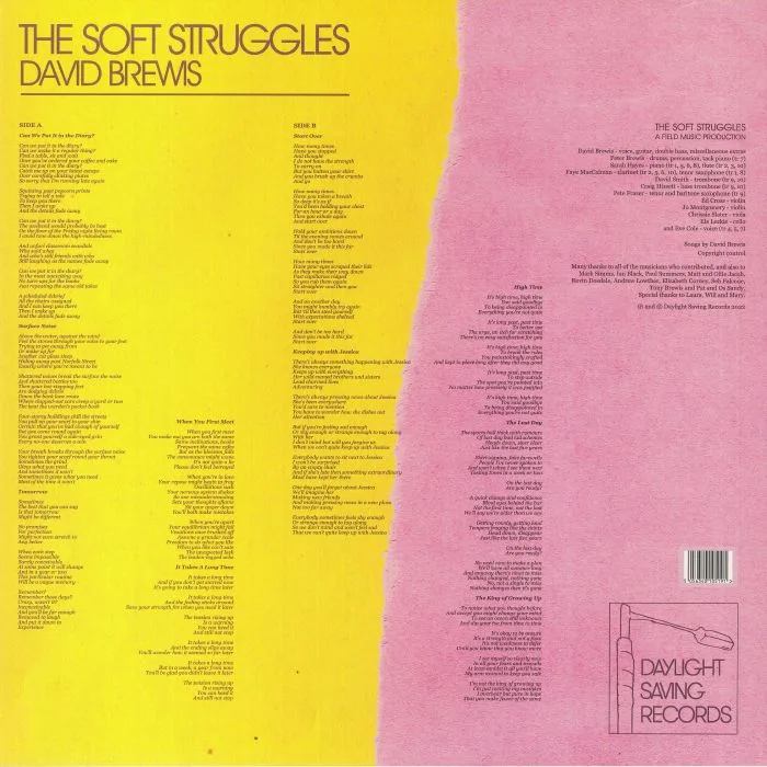 Обратная сторона обложки — David BREWIS — The Soft Struggles