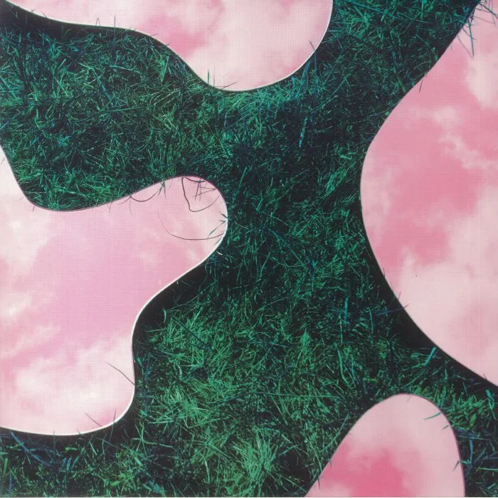LEE PARADISE — Lee Paradise & Co