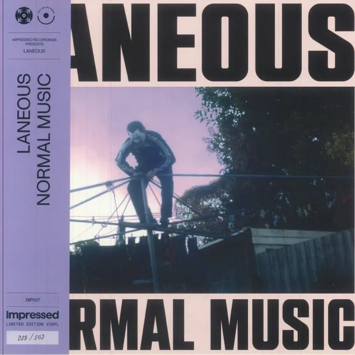 Лицевая сторона обложки — LANEOUS — Normal Music